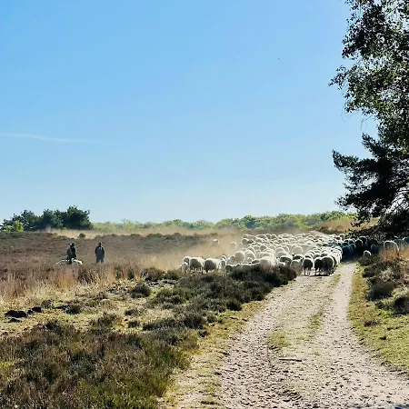 別荘 Luxe Huismus Veluwe